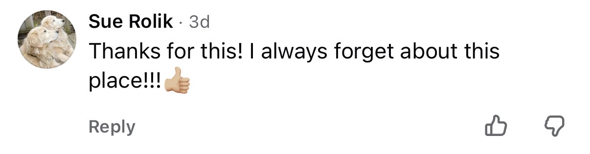 Comment on Vittorio's video