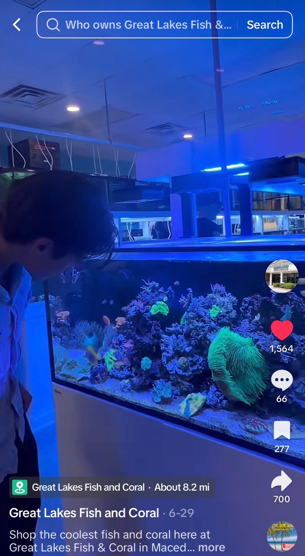 Who owns Great Lakes Fish & Coral?