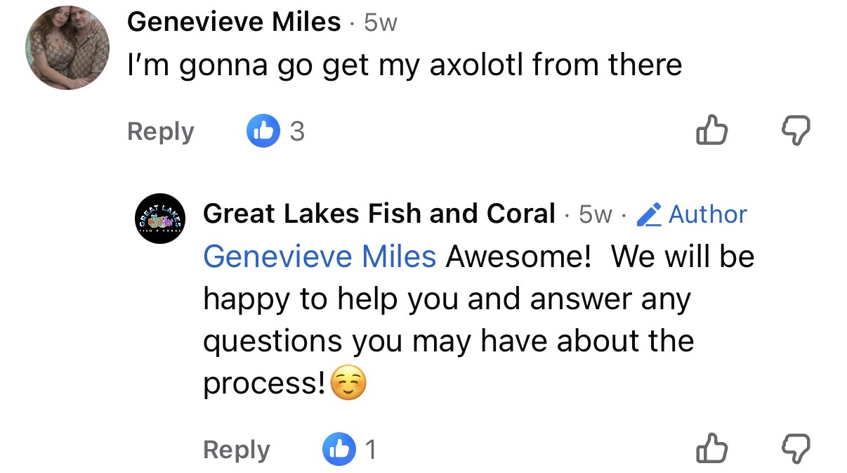 Comment: I'm gonna go get my axolotl from there