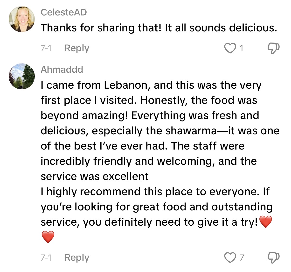 Comment: came from Lebanon, best shawarma I've ever had