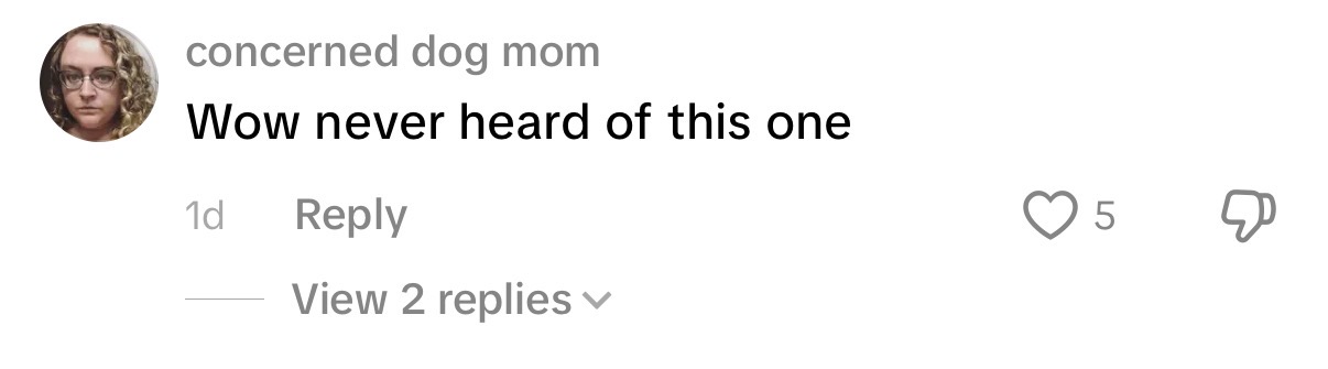 Comment on Vittorio's video