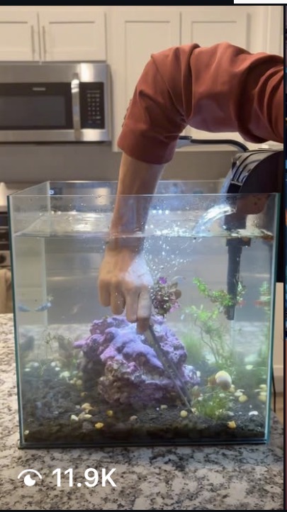 Aquascaping ASMR
