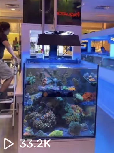 Reef tank tour