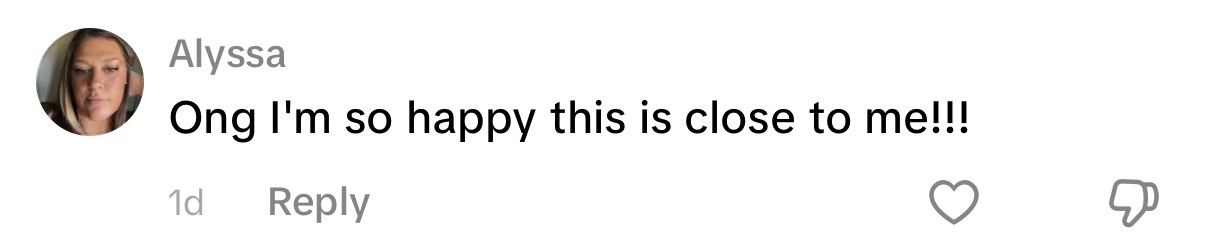 Comment on Vittorio's video