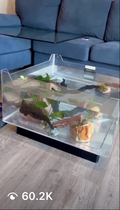 Coffee-table tank