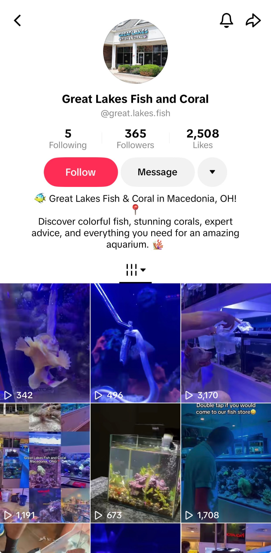 Great Lakes Fish & Coral TikTok profile showing 365 followers