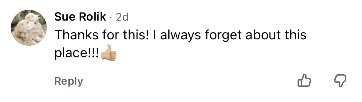 Comment on Vittorio's video