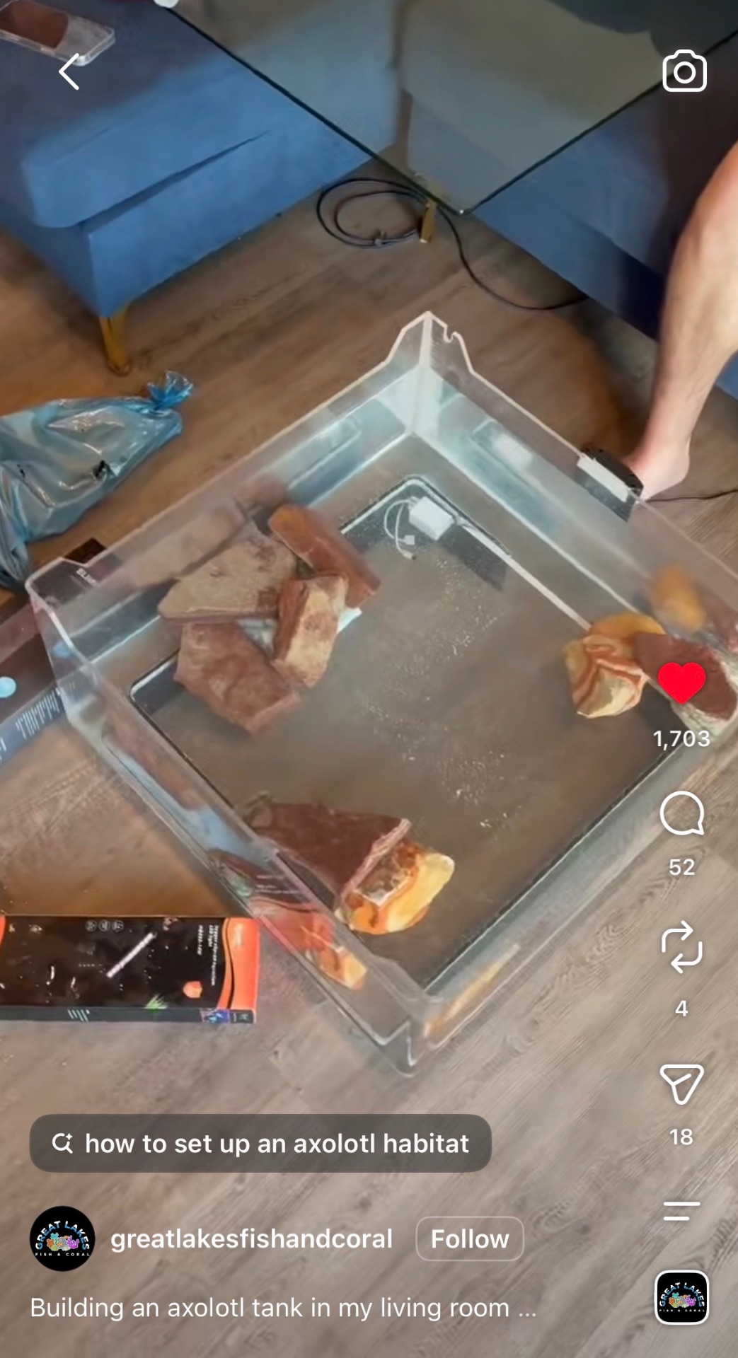 Building an axolotl habitat
