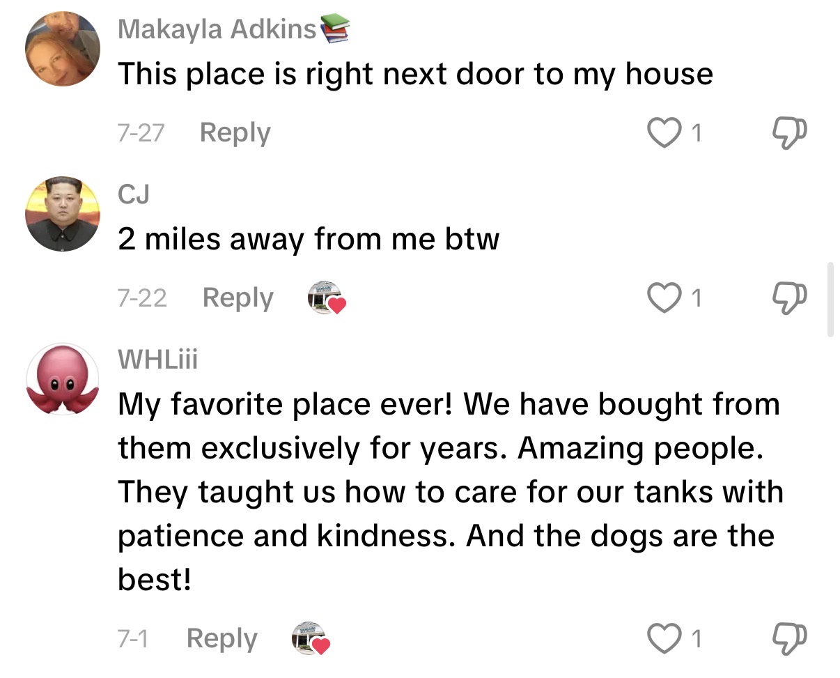 Comments: my favorite place ever, right next door to my house