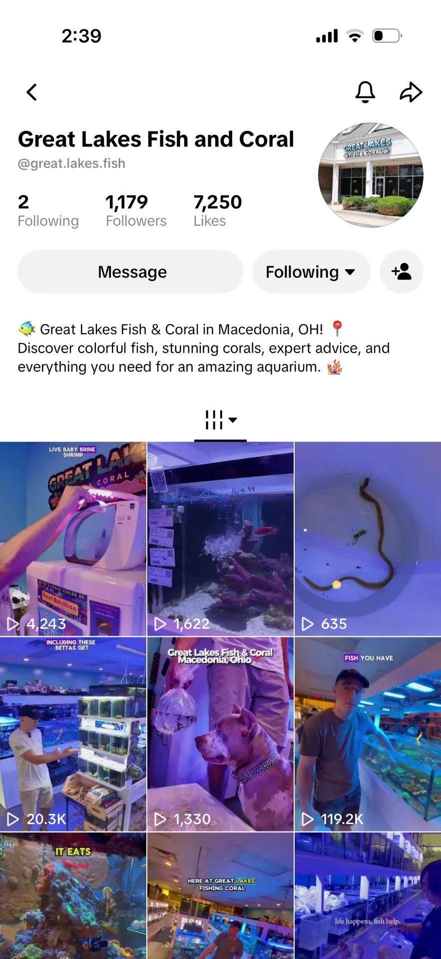 Great Lakes Fish & Coral TikTok profile showing 1,179 followers